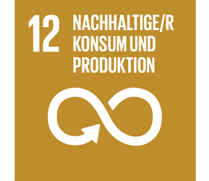 Sustainable Development Goal 12