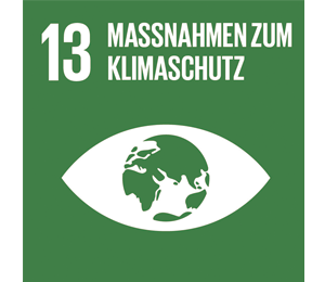 Sustainable Development Goal 13